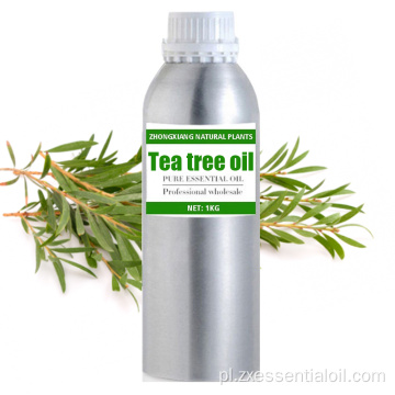 Dostawa fabryczna luzem olejku z drzewa herbacianego